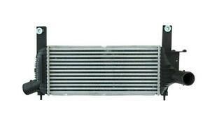 OE nr 14461-EB360 Intercooler dla Navary D40