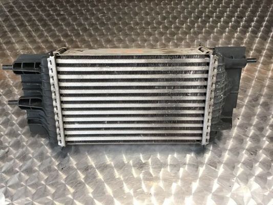 Numer odniesienia: 8095055 Inter Cooler Assy dla Nissan Juke 1.6L I4 AT TBO 2016 14461-1KB2A