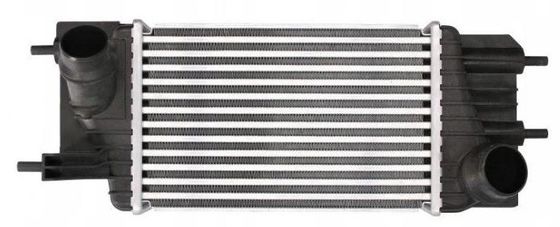 Numer odniesienia: 8095055 Inter Cooler Assy dla Nissan Juke 1.6L I4 AT TBO 2016 14461-1KB2A